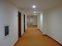 administrowanie budynkami usługi porządkowe